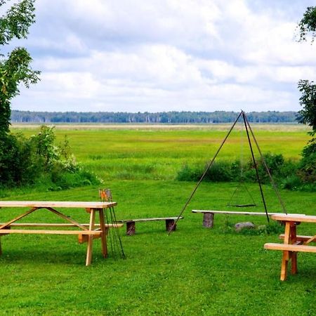 Wilcza Nora - Pole Biwakowe Dolistowo Nowe Exterior foto